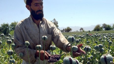 US blacklists Afghan airline accused of smuggling opium