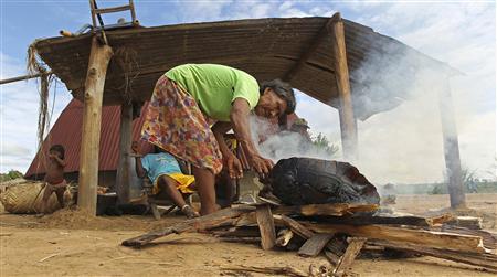 An elder Indian from Maraiwatsede nation roasts a turtle at Maraiwatsede land in Mato Grosso, about 375 miles (600 km) northwest of Brasilia, February 2, 2013. REUTERS/Paulo Whitaker