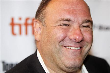 Cast member James Gandolfini arrives on the red carpet for the film "Violet & Daisy" during the 36th Toronto International Film Festival (TIFF), September 15, 2011. REUTERS/Mark Blinch