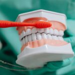 Selective focus photo of a dentist demonstrating how to brush teeth