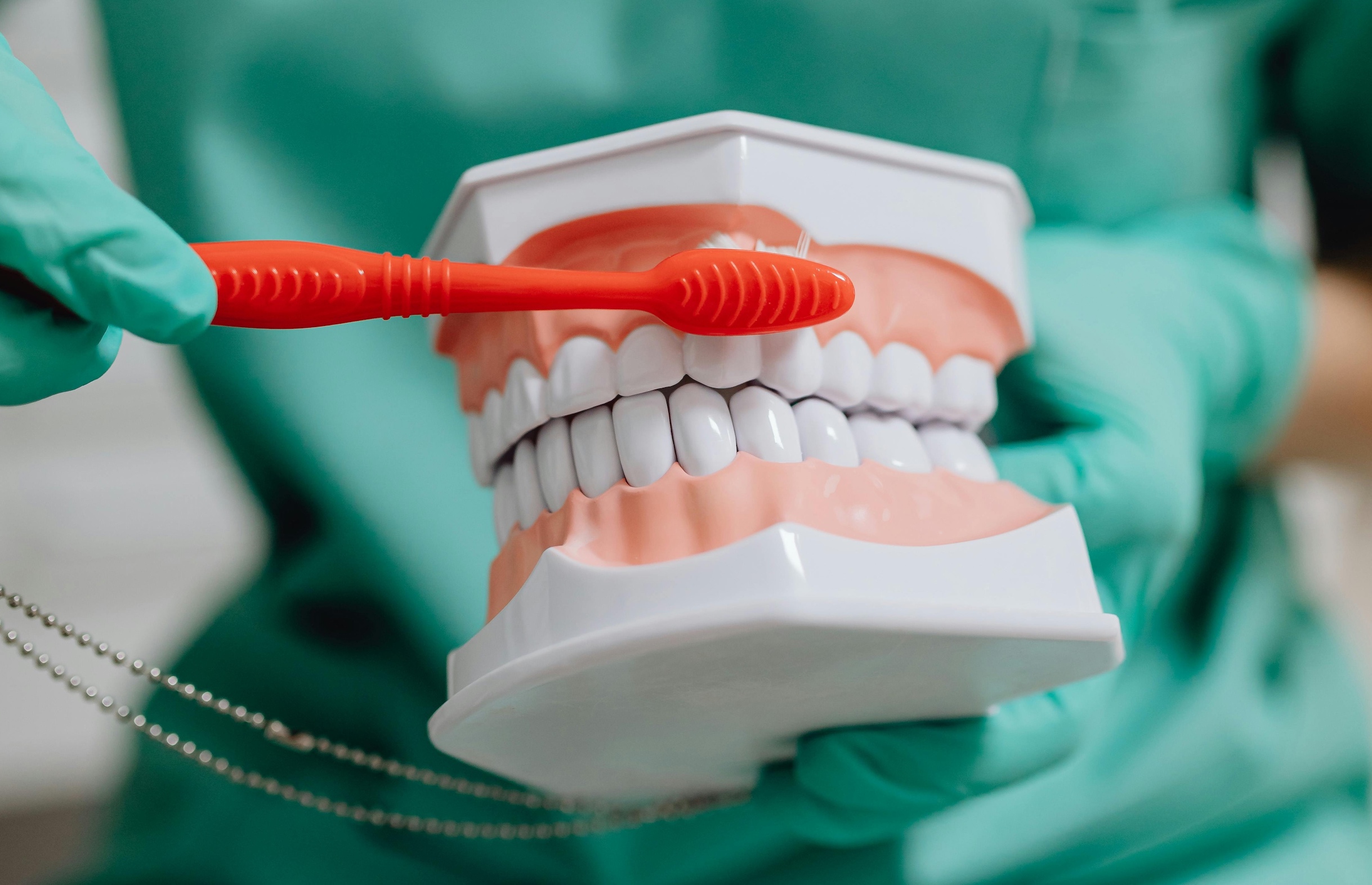 Selective focus photo of a dentist demonstrating how to brush teeth