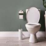 The fascinating history and evolution of bathrooms