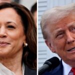 U.S. Vice President Kamala Harris at the White House, Washington, U.S., July 22, 2024 and former U.S. President Donald Trump in Bedminster, New Jersey, U.S., August 15, 2024 in a combination of file photographs.