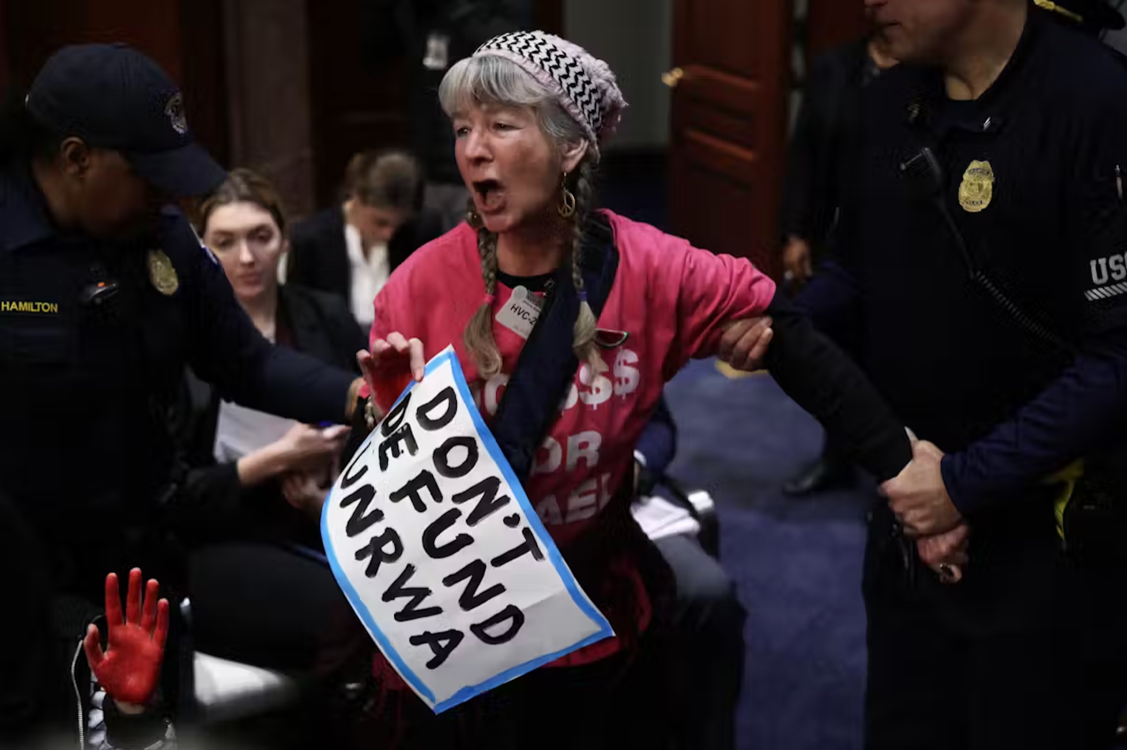 A protester is removed by members of the U.S. Capitol Police during a House hearing on Jan. 30, 2024. 
