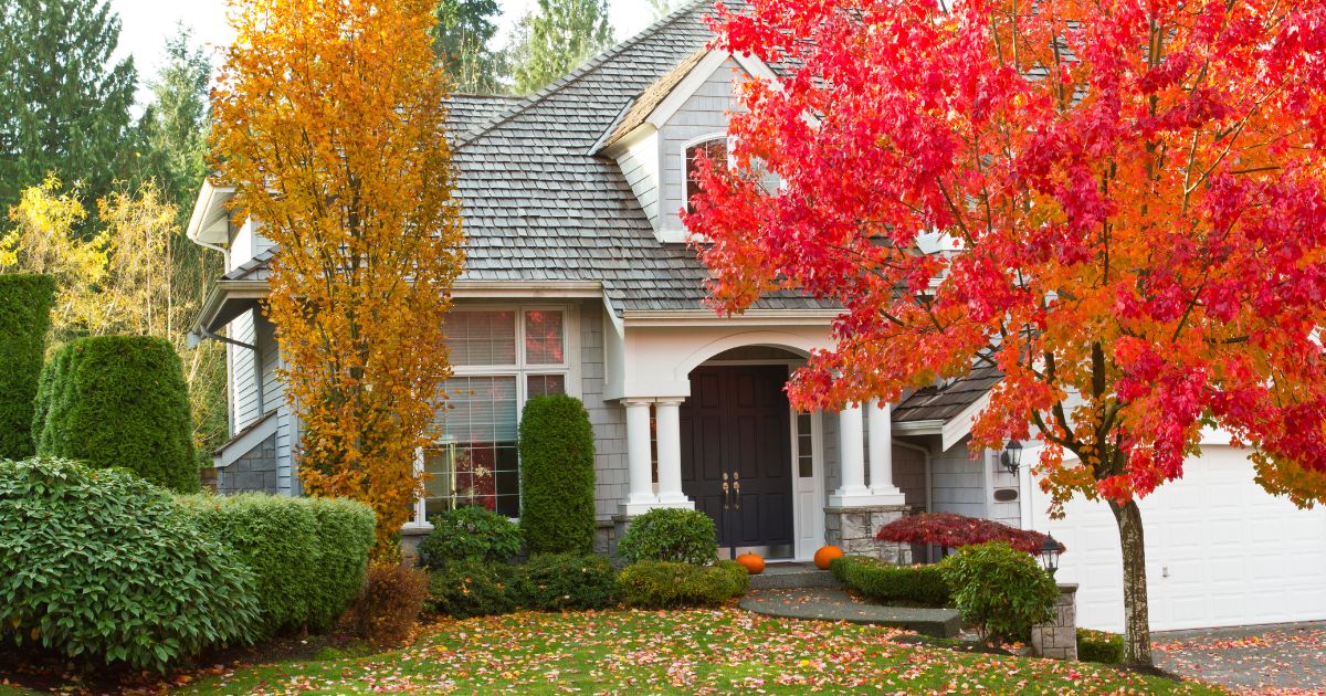 Home projects you should do before winter