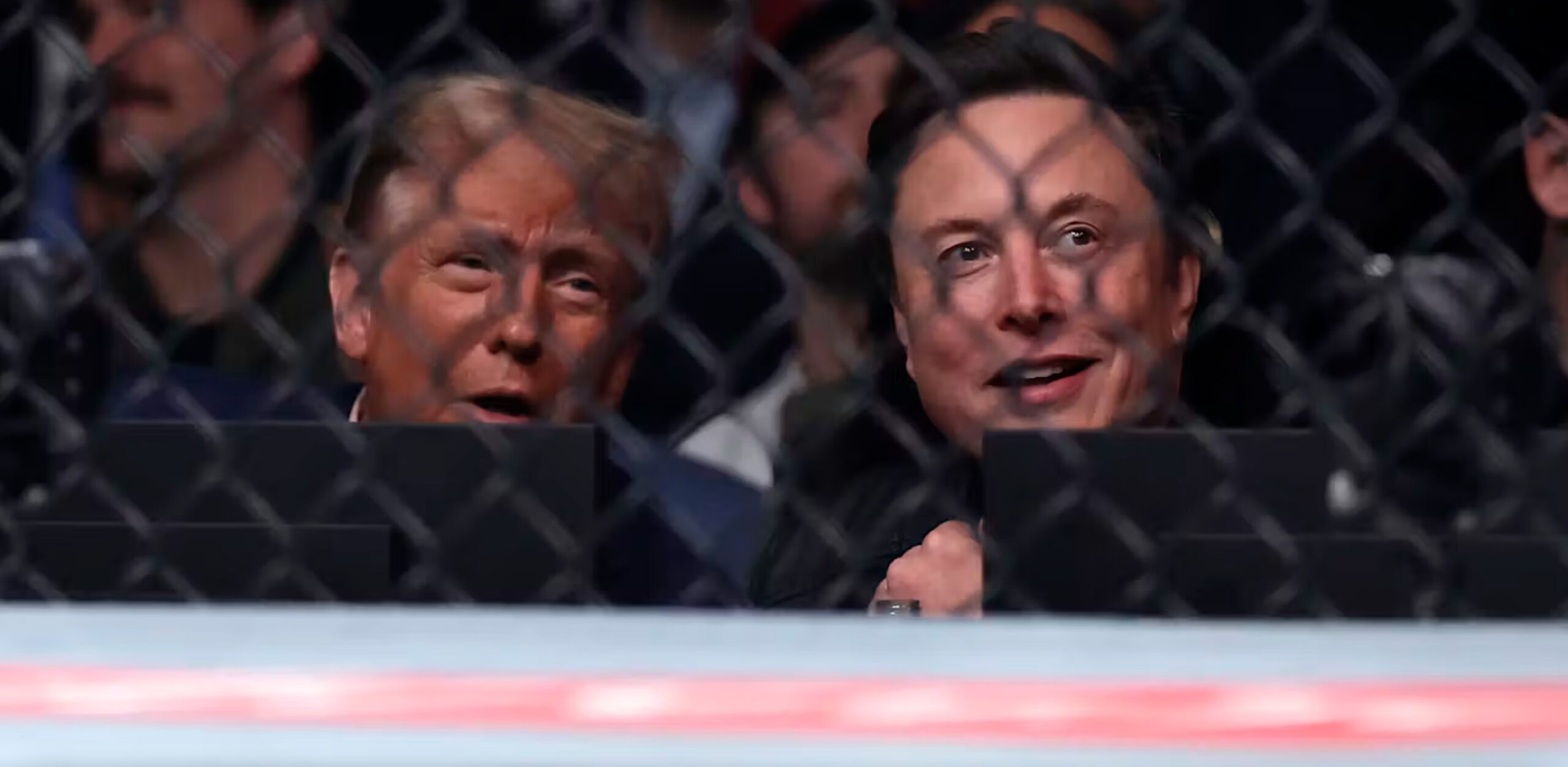 Donald Trump and Elon Musk. 