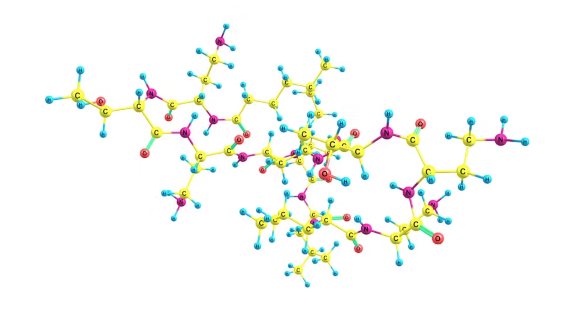 An illustration of the colistin molecular structure.