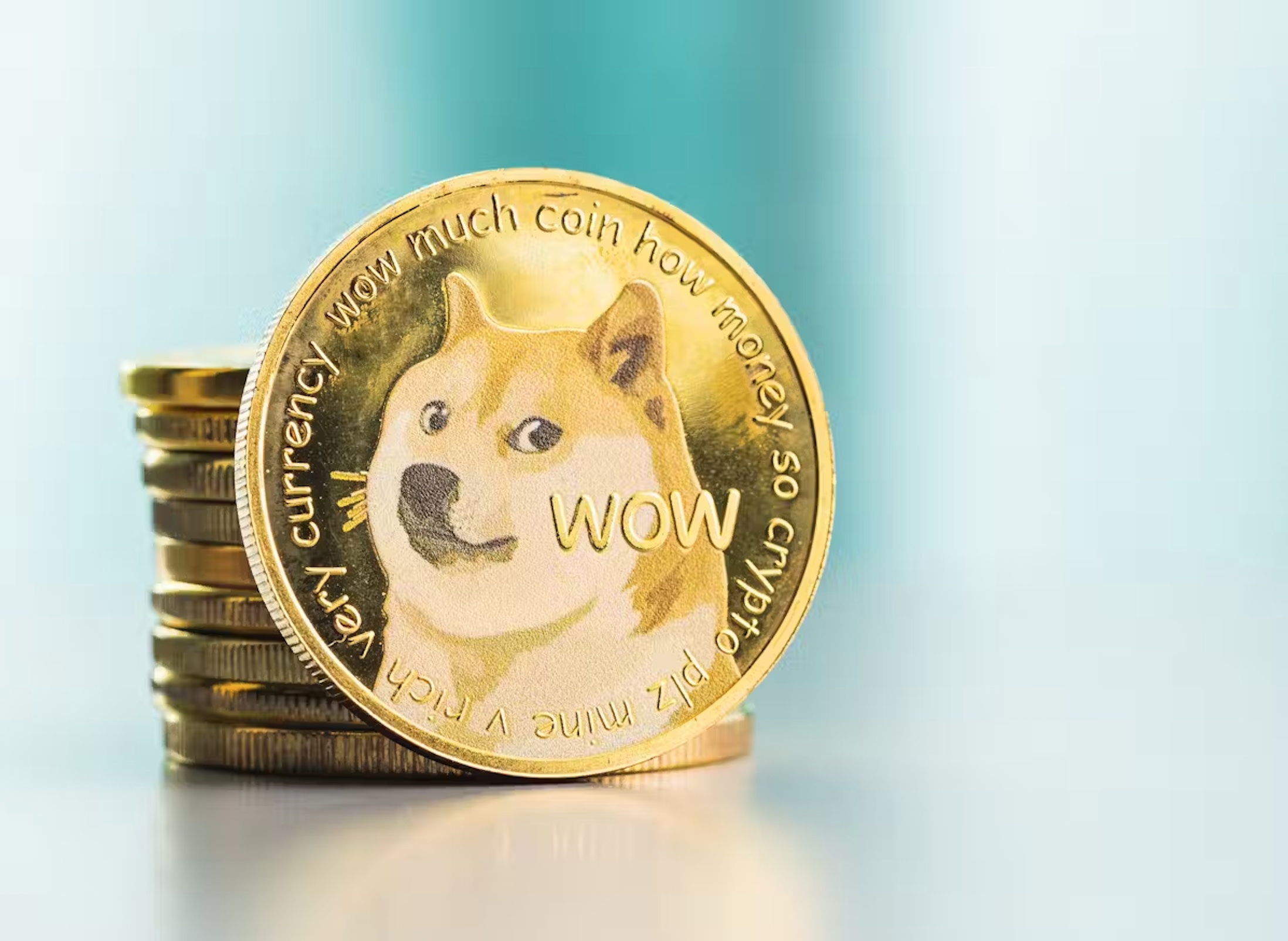 DOGEcoin has been steadily increasing in value since the US election. 