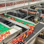 The benefits of food-grade conveyors in restaurants