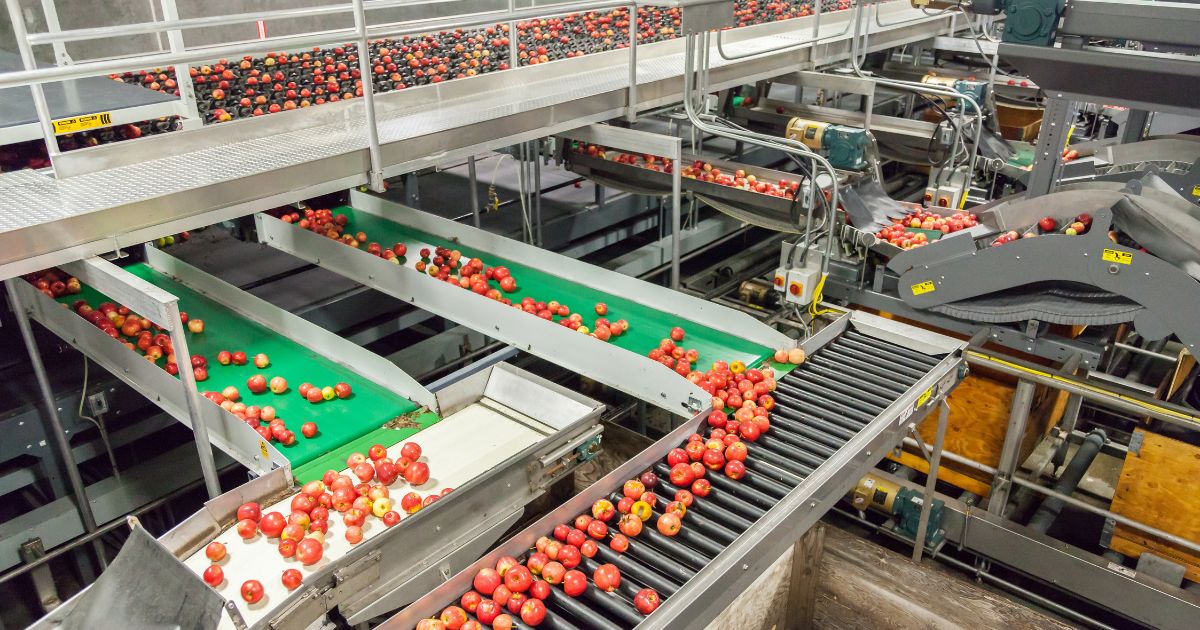 The benefits of food-grade conveyors in restaurants
