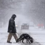 Enrique Davila crosses the street with his dog, Chula, as heavy snow falls Sunday, Jan. 5, 2025, in St. Louis.