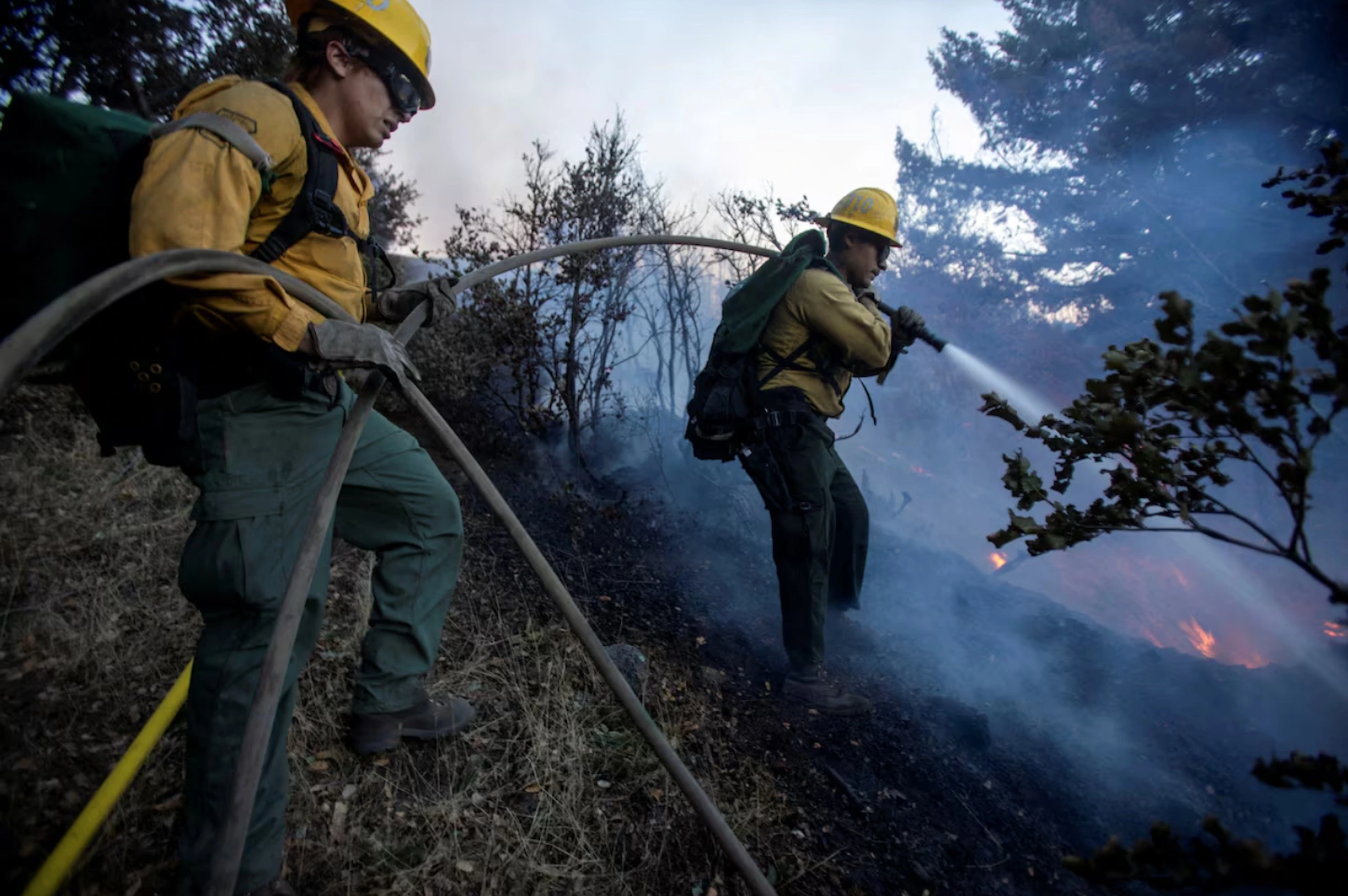 Firefighters battle the fire in the Angeles National Forest near Mt. Wilson as the wildfires burn in the Los Angeles area, during the Eaton Fire in Altadena, California, U.S. 